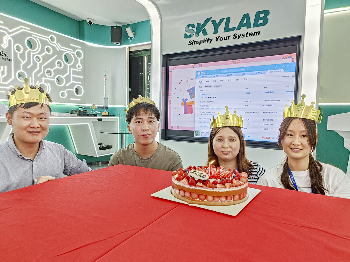 赴一场春日之约|SKYLAB 2023年第一季度生日会、迎新会